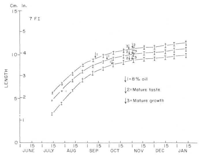 CAS 1978 p51-2.jpg