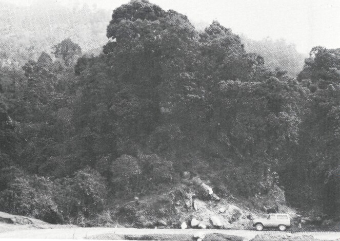 CAS 1978 p67-3.jpg