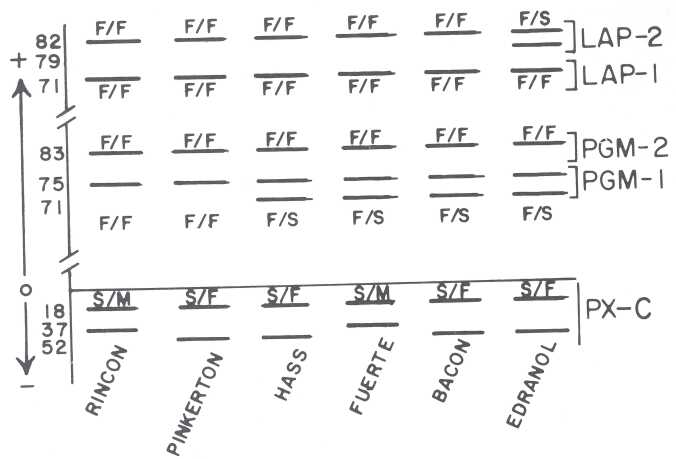 CAS 1978 p103-2.jpg
