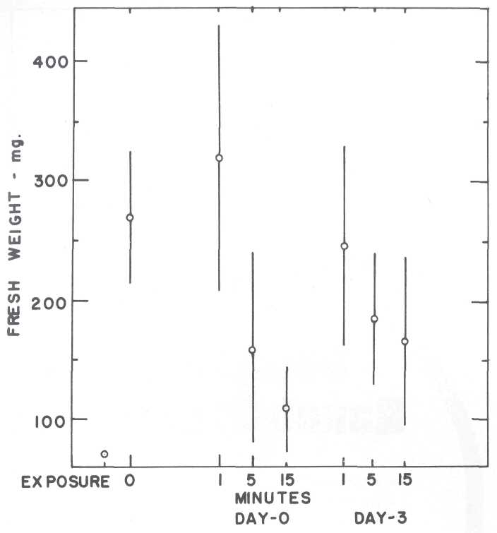 CAS 1978 p131-2.jpg