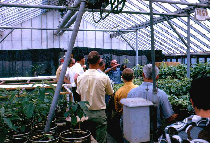 UCLA Greenhouses