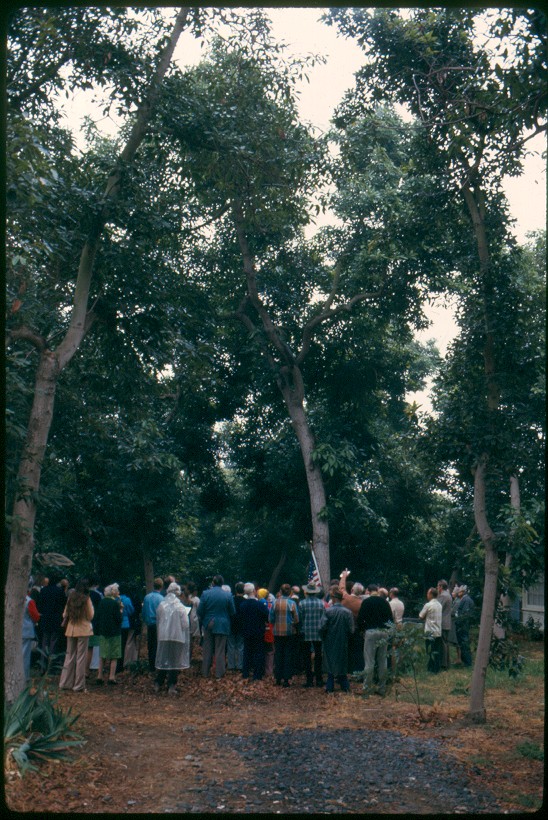 Original Hass tree - La Habra California - Dedication - California Avocado Society