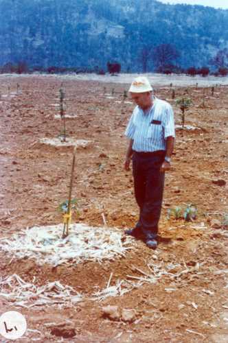 Plant Collectors