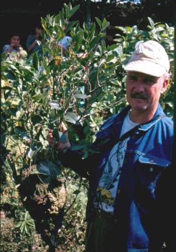 Plant Collectors