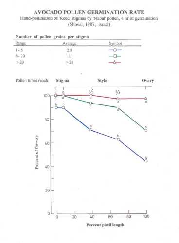 Pollen tube growth as a function of the number of pollen grains on the stigma (Nabal pollen on Reed)