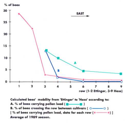 European honey bee mobility between avocado rows