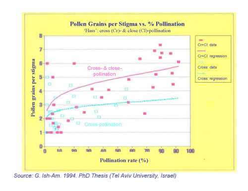 The relationship between the number of pollen grains per stigma and pollination rate as influenced by the type of pollination (cross or close) for Hass avocado