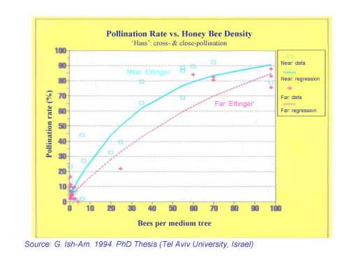 The relationship between cross- and close-pollination rate and European honey bee density as a function of distance from the pollinizer