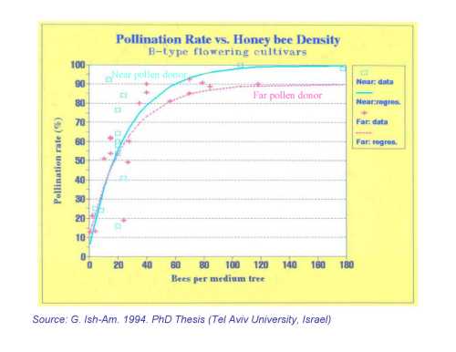 The relationship between cross-pollination rate for all B flower types and Hass and European honey bee density and distance from the pollinizer