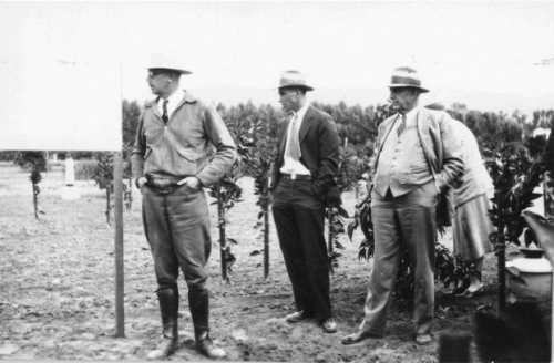 Extension meeting in an avocado nursery