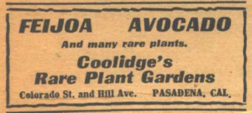 Ad for the Coolidge Nursery