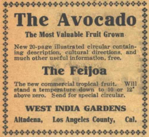 Ad for the West India Gardens Nursery