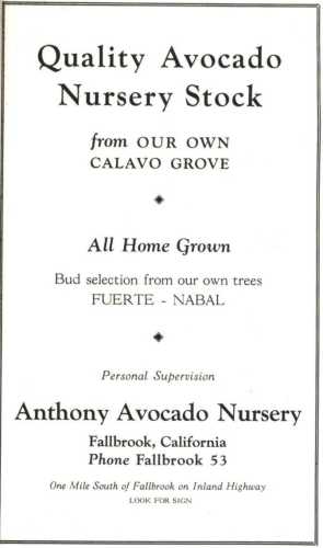 Ad for Anthony Avocado Nursery