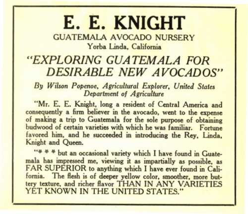 Ad for E. E. Knight Nursery