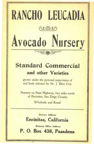 Ad for Rancho Leucadia Avocado Nursery