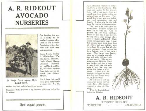 Ad for A. R. Rideout Nursery