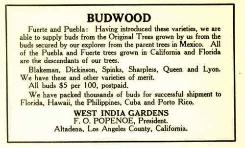 Ad for West India Gardens with Fuerte History