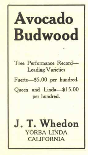Ad for J. T. Whedon Nursery