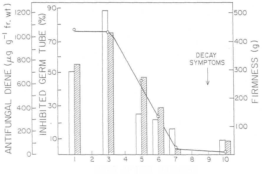 WAC 2 p479-2.jpg