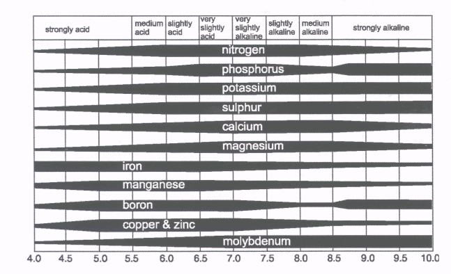 Ph And Nutrient Availability Chart