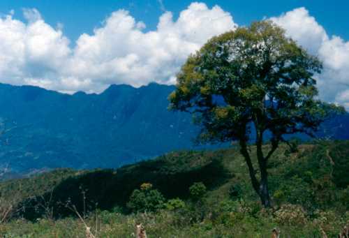 Highlands of Chiapas