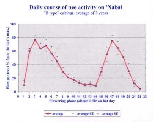 Daily European honey bee visitation to Nabal