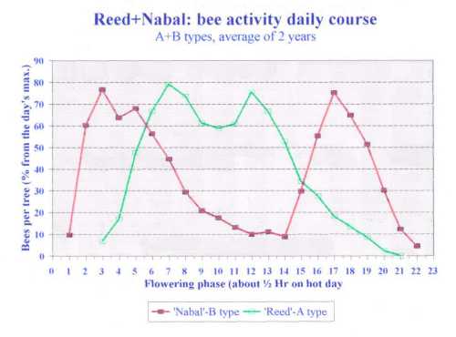 Daily European honey bee visitation to Nabal and Reed