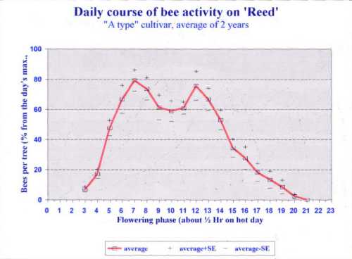 Daily European honey bee visitation to Reed