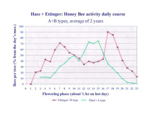 Daily European honey bee visitation to Ettinger and Hass