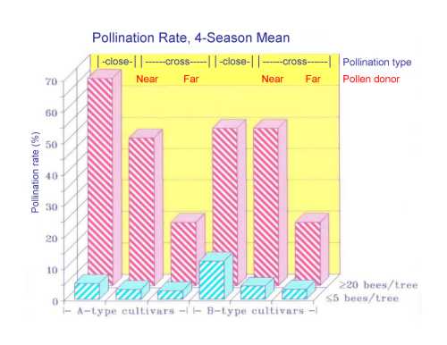 The relationship between flower type, bee density and pollination rate