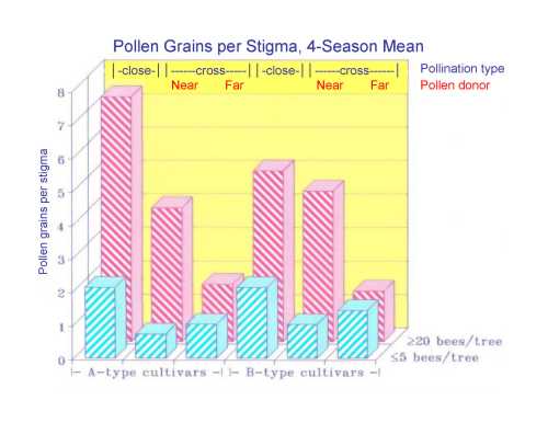 The relationship between flower type, bee density and the number of pollen grains per stigma