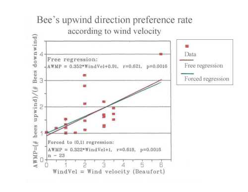 The relationship between European honey bee upwind direction and wind velocity