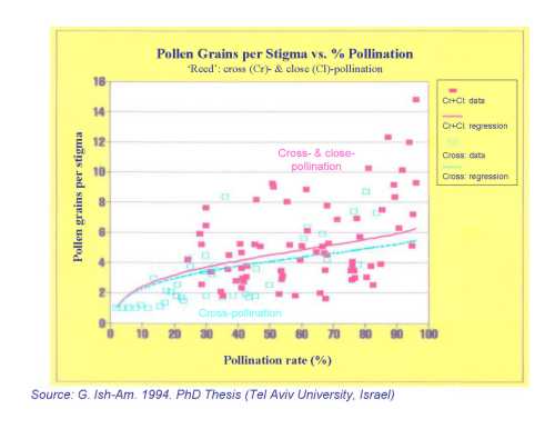 The relationship between the number of pollen grains per stigma and pollination rate as influenced by the type of pollination (cross or close) for Reed avocado