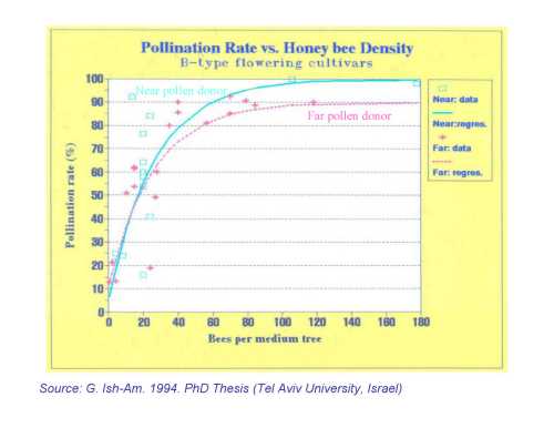 The relationship between cross-pollination rate for all B flower types and Hass and European honey bee density and distance from the pollinizer