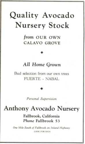 Ad for Anthony Avocado Nursery
