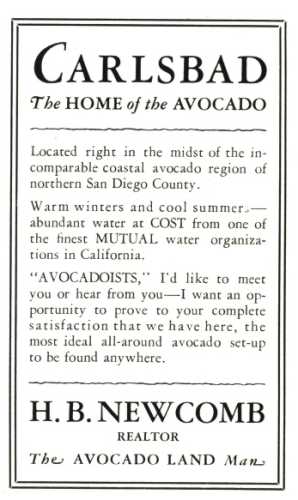 Ad for real estate in Carlsbad, CA