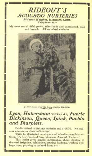 Ad for A. R. Rideout Nursery