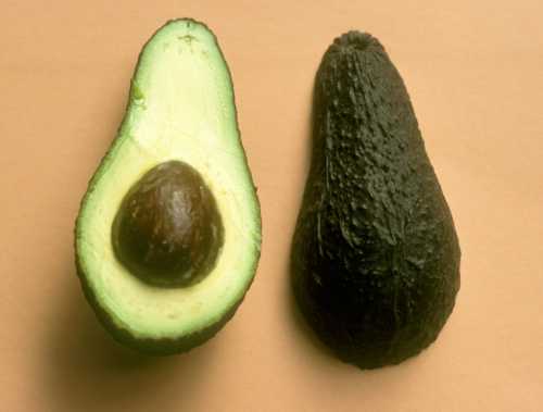 Gil avocado